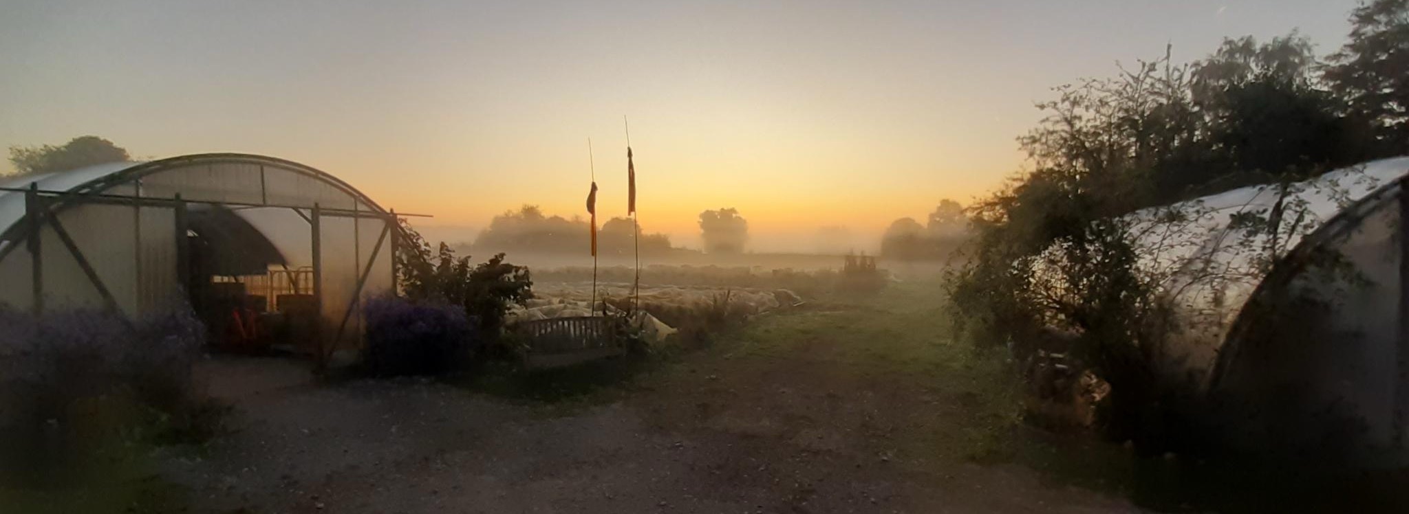 Solidarische Landwirtschaft für Krefeld – SoLaWi GemüseKollektiv